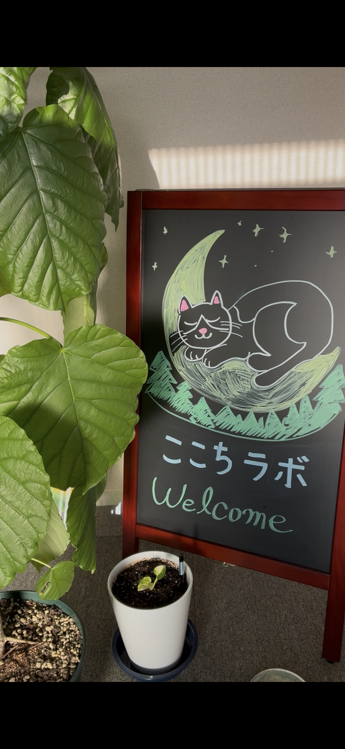 温めて、ゆるめて、明日の私を軽やかに。よもぎハーブ蒸しで心身リフレッシュ